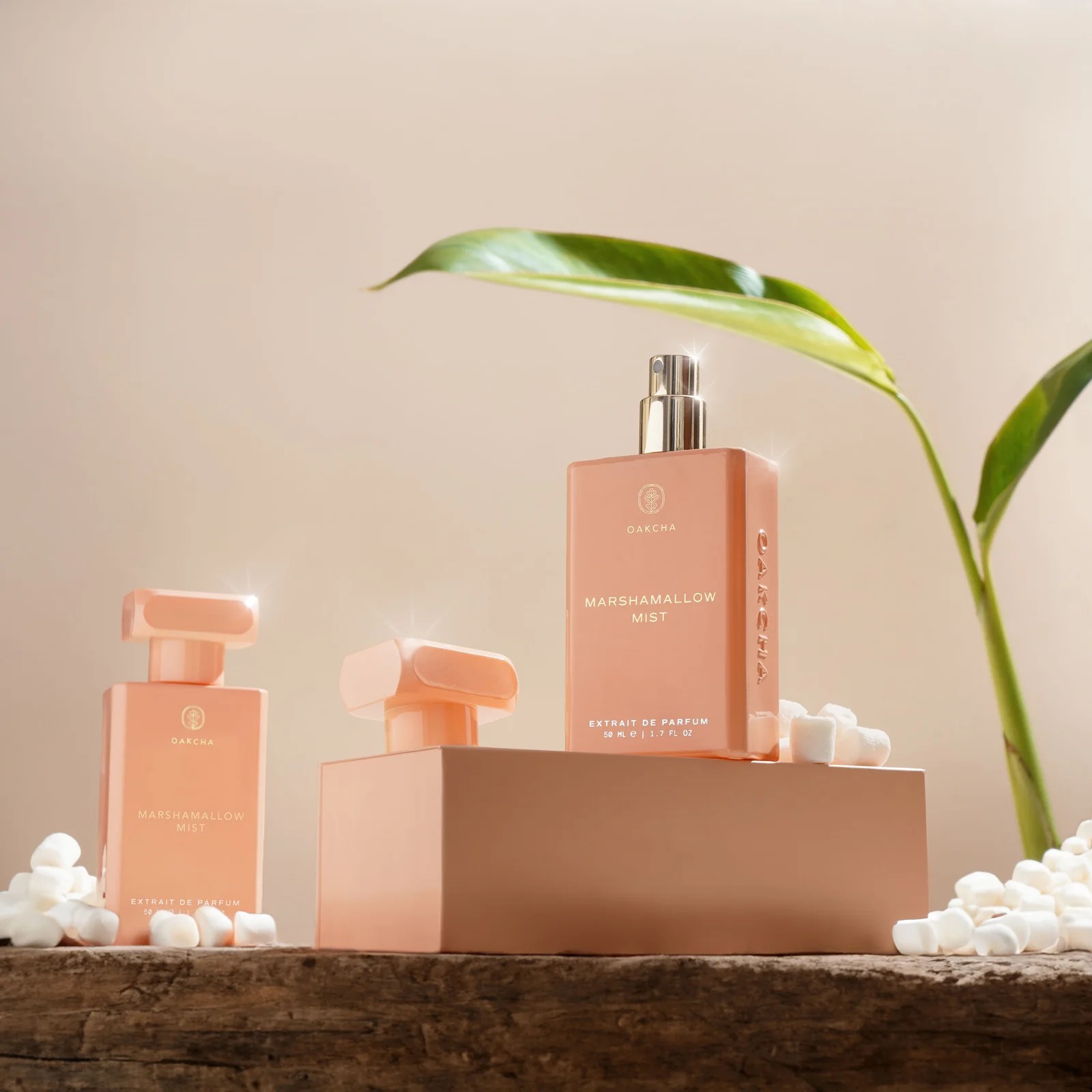 Oakcha Extrait De Parfum 50ml  - Luxury Men Lifestyle ulasan dan harga